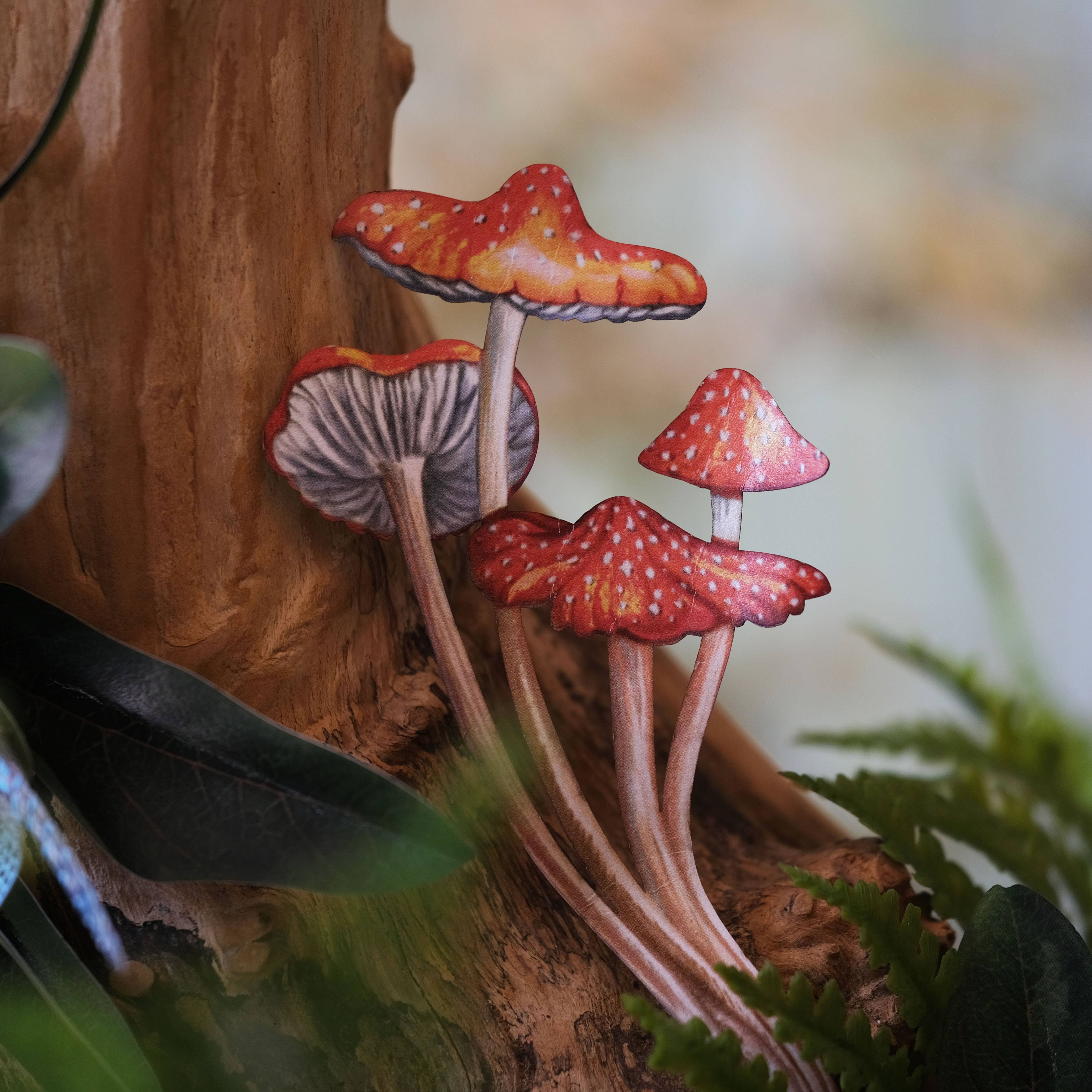 Moth and Myth - Venta al por mayor Recortables - Set de 3 piezas para polillas y hongos «Forage»3