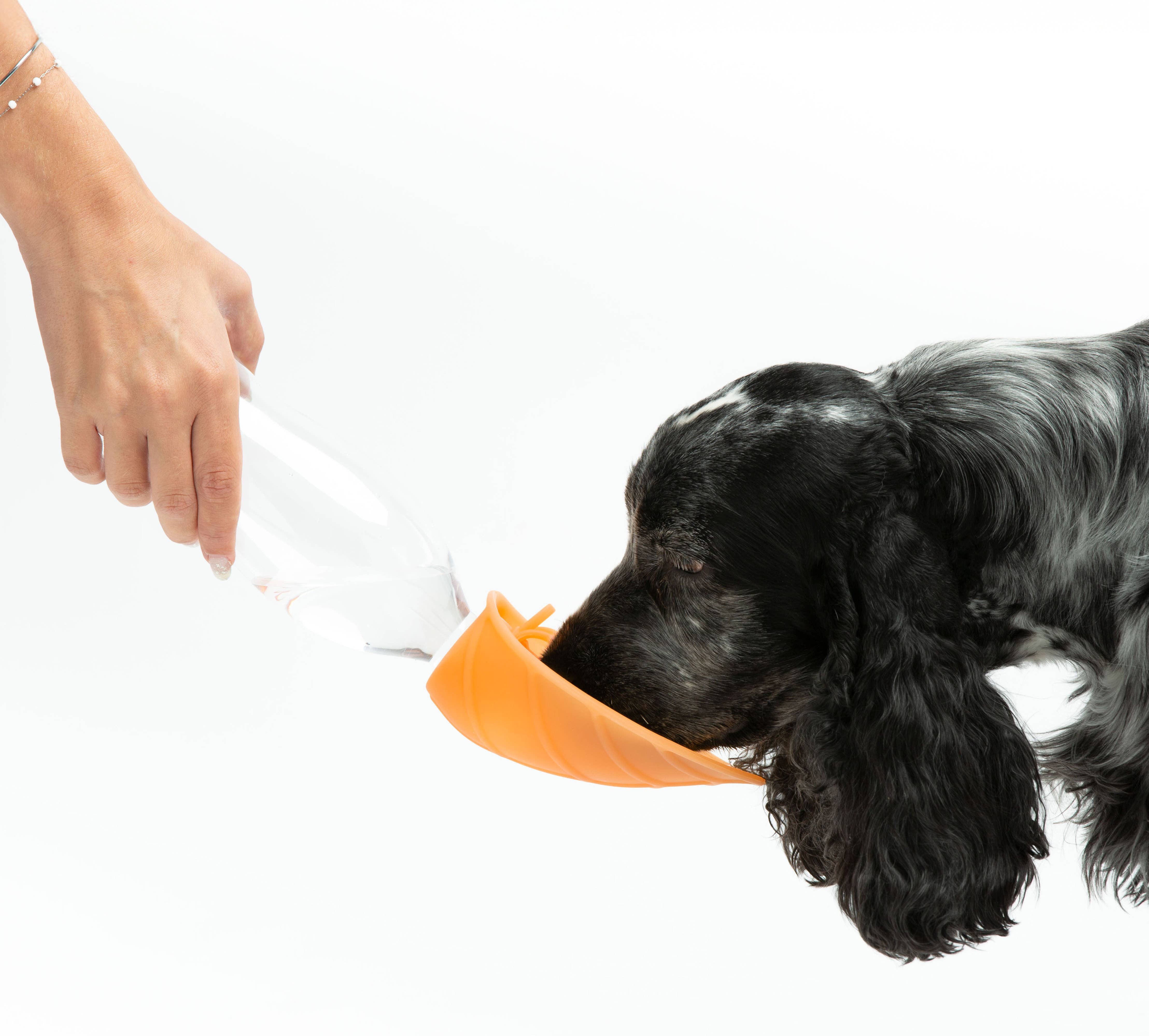 United Pets – Garrafa de água por atacado – Doseador universal de água com válvula anti-pingos2