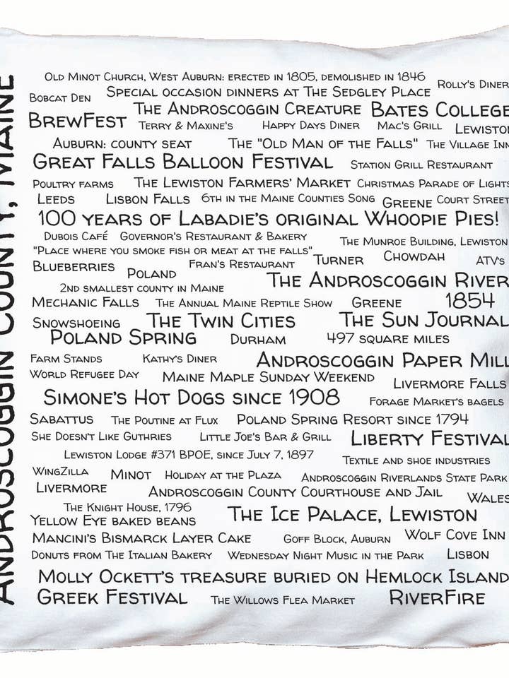 Androscoggin County Pride Pillow Cover for wholesale by TownieSwag