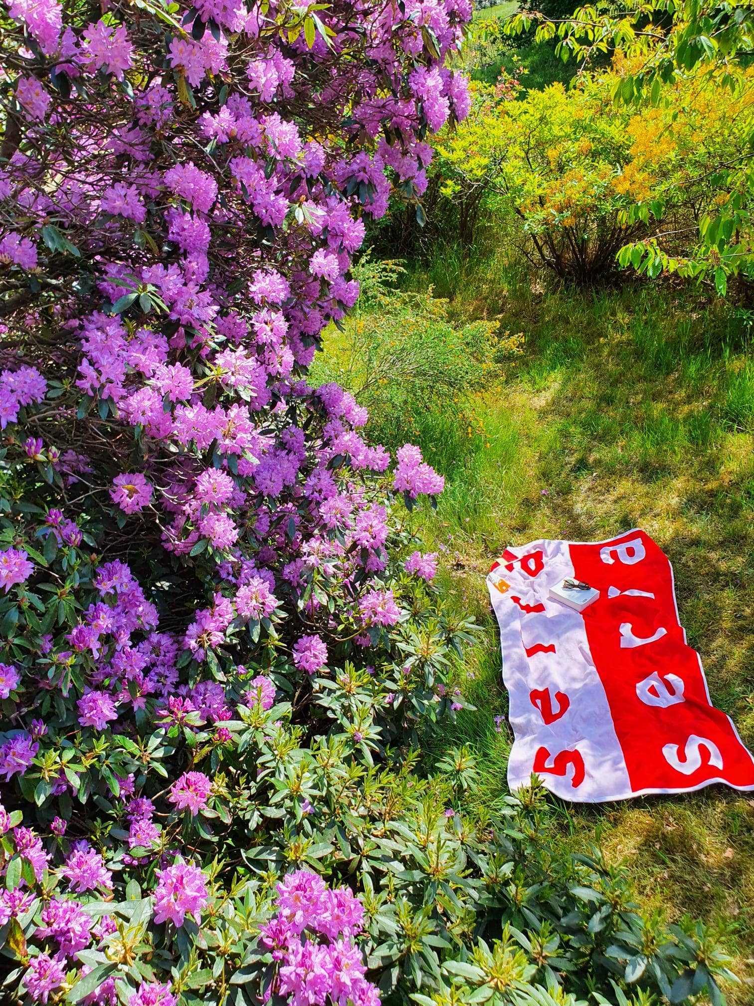 Serra - Wholesale Beach Towel - Rocco Beach Towel4