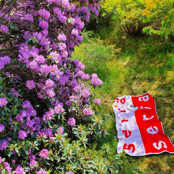 Serra - Wholesale Beach Towel - Rocco Beach Towel4