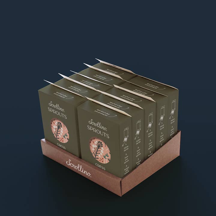 Scrollino - Wholesale DIY Craft Kit - Kids - Original Activity & Growing Kit - Scrollino Cress Sprouts4