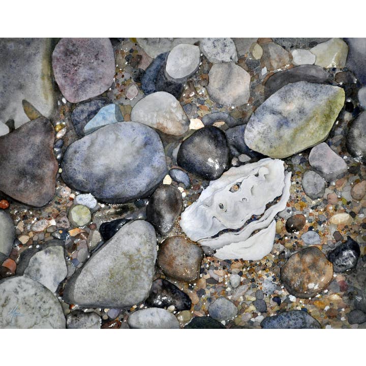 De Oyster aquarel Giclée Print voor wholesale door CMarie Northwest