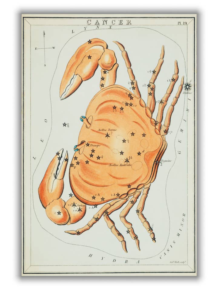 Astronomical chart illustration of the cancer zodiac for wholesale by Stanley Print House