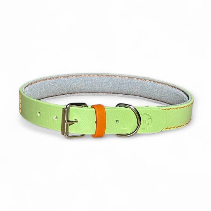 Biothane® Padded Dog Collar – NOTTINGHAM Aspen for wholesale by L&Z Dogwear