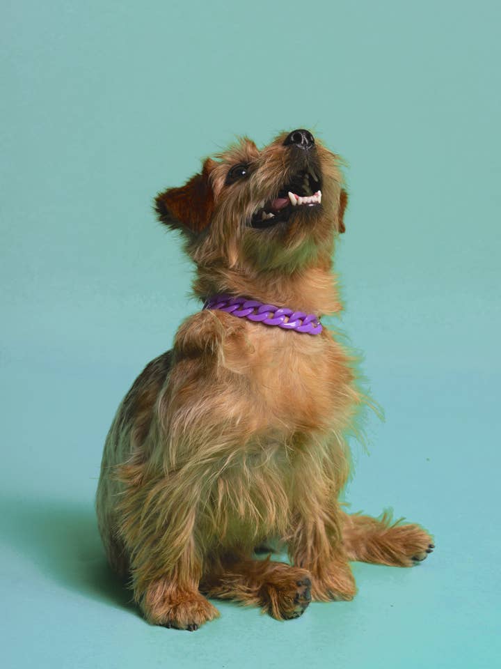 PANZERKETTE AUS HARZ für den Großhandel von BAND OF HEARTBREAKERS