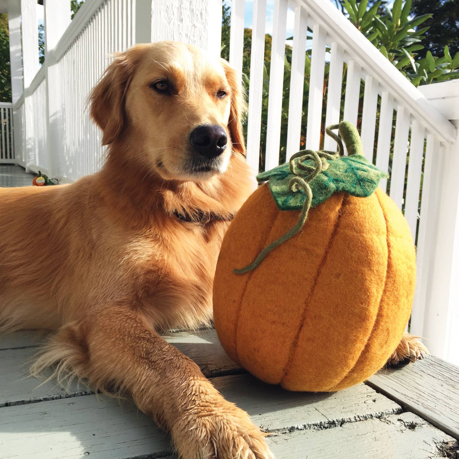 dZi Handmade - Wholesale Decorative Tabletop Object - Fairy Pumpkin, 8"dia.1