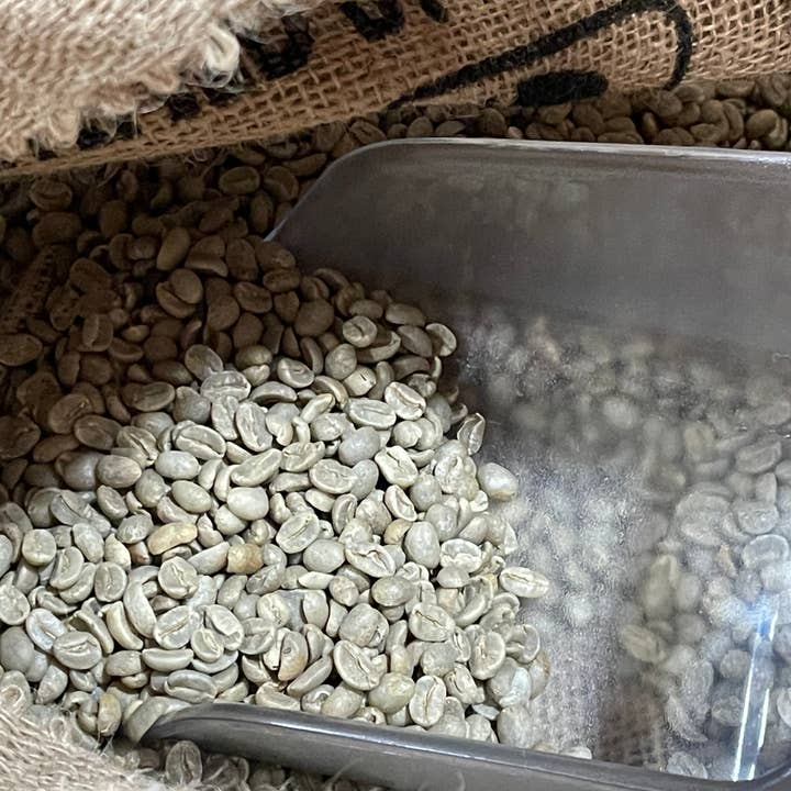 Big Year Coffee - Wholesale Coffee Beans - 2025 Bird Friendly Green Coffee