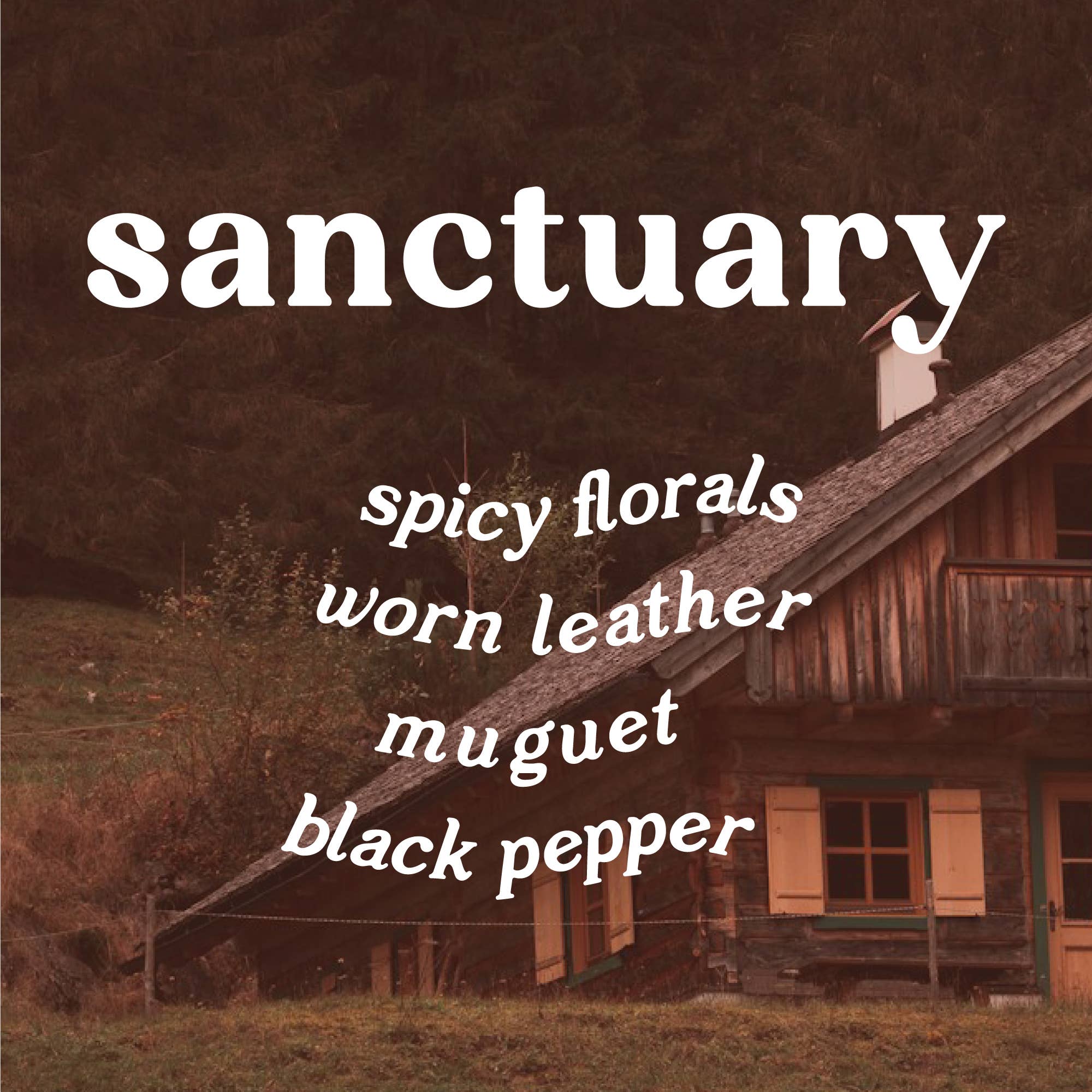 GP Candle Co. - Wholesale Reed Diffuser - Sanctuary 4 oz. Hue Reed Diffuser (Leather + Incense)3