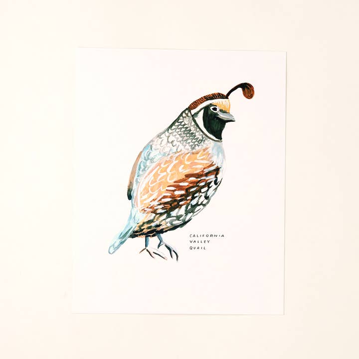 California Valley Quail Bird Art Print Home Wall Decor for wholesale by Little Salt Wagon