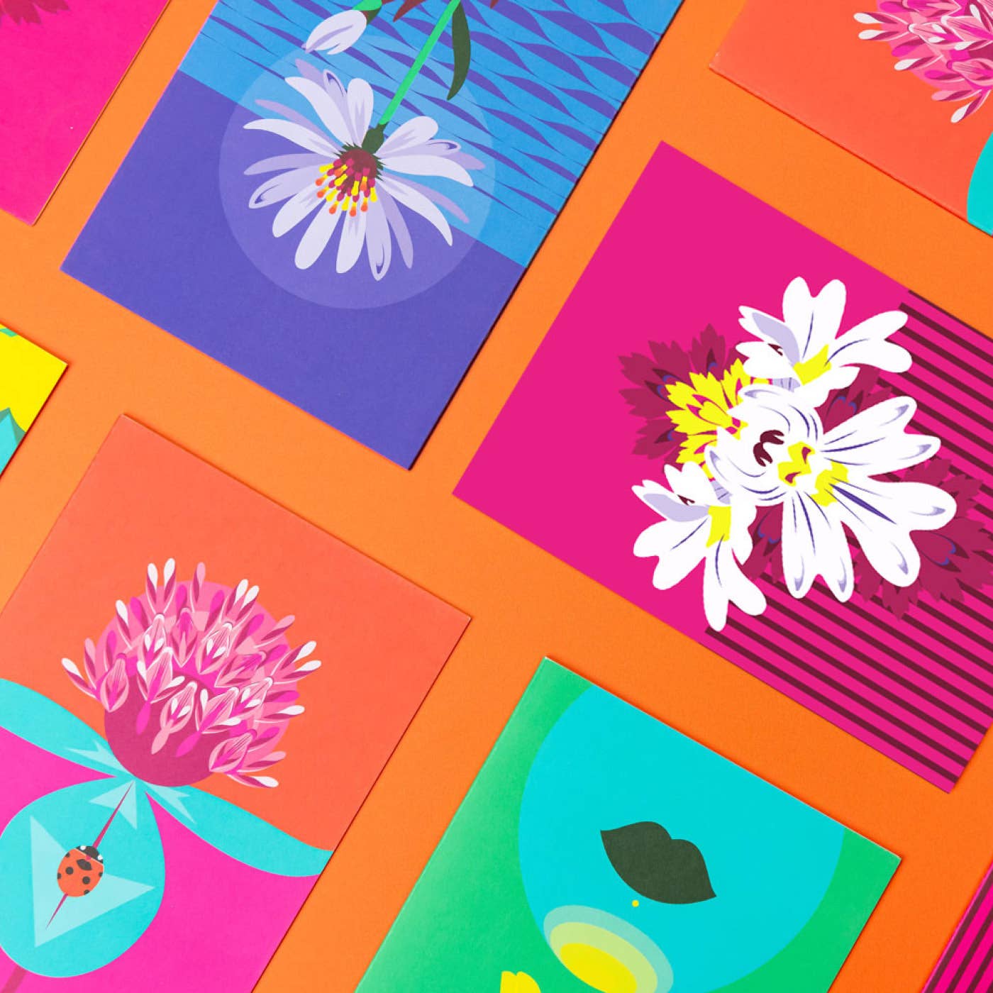 Pawpear - Wholesale Everyday Greeting Card - Sea Aster Greeting Card3