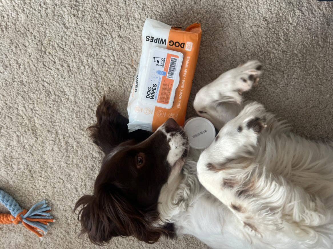 OurPetsLife - Wholesale Pet grooming aid – Dog - Scented Dog Wipes11