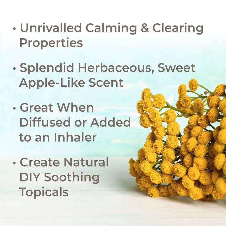 Plant Therapy - Wholesale Essential oil - Organic Blue Tansy Essential Oil 5 mL7