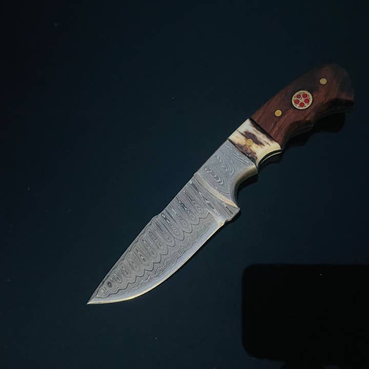 Titan International - Wholesale Pocket Knife/Holder - DAMASCUS STEEL FIXED BLADE KNIFE WITH WALNUT & STAG HORN HAN5