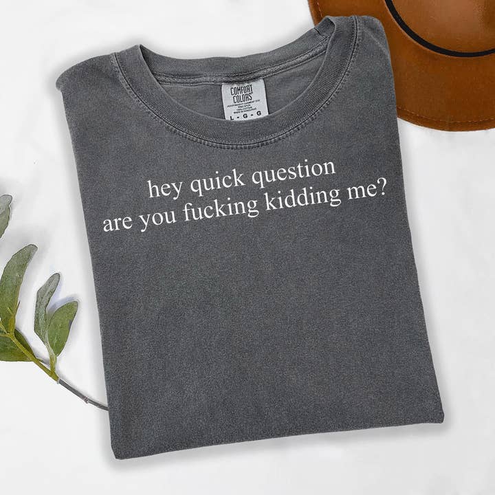 Epic Life  - Designed - Wholesale Screen Printed T-Shirt - Women's - Comfort Colors® Hey Quick Question Are You Kidding Me Shirt - Funny Sarcasm Shirt - Trendy Humor Tee for Women - Sassy Graphic Shirt0
