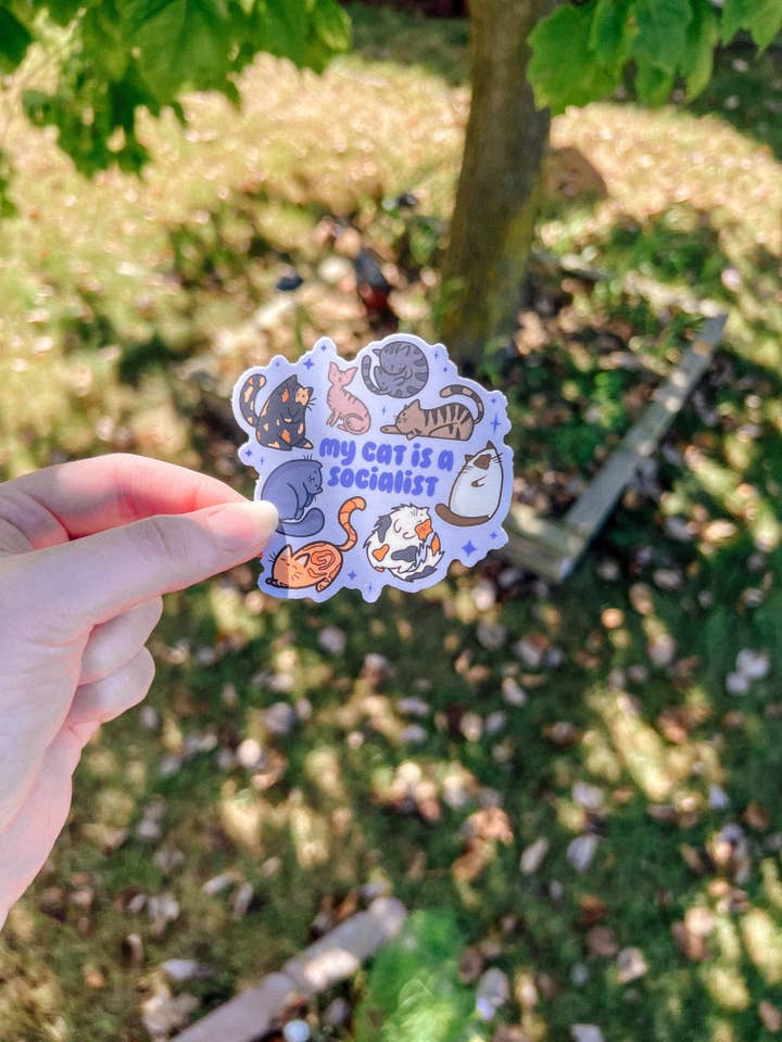 Autocollant "Mon chat est socialiste" pour la vente par Scarlet’s Freckles
