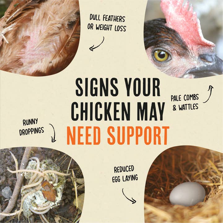 Roosty's - Wholesale Pet Supplement - Not Cat/Dog - Daily Deworm + Gut Support5