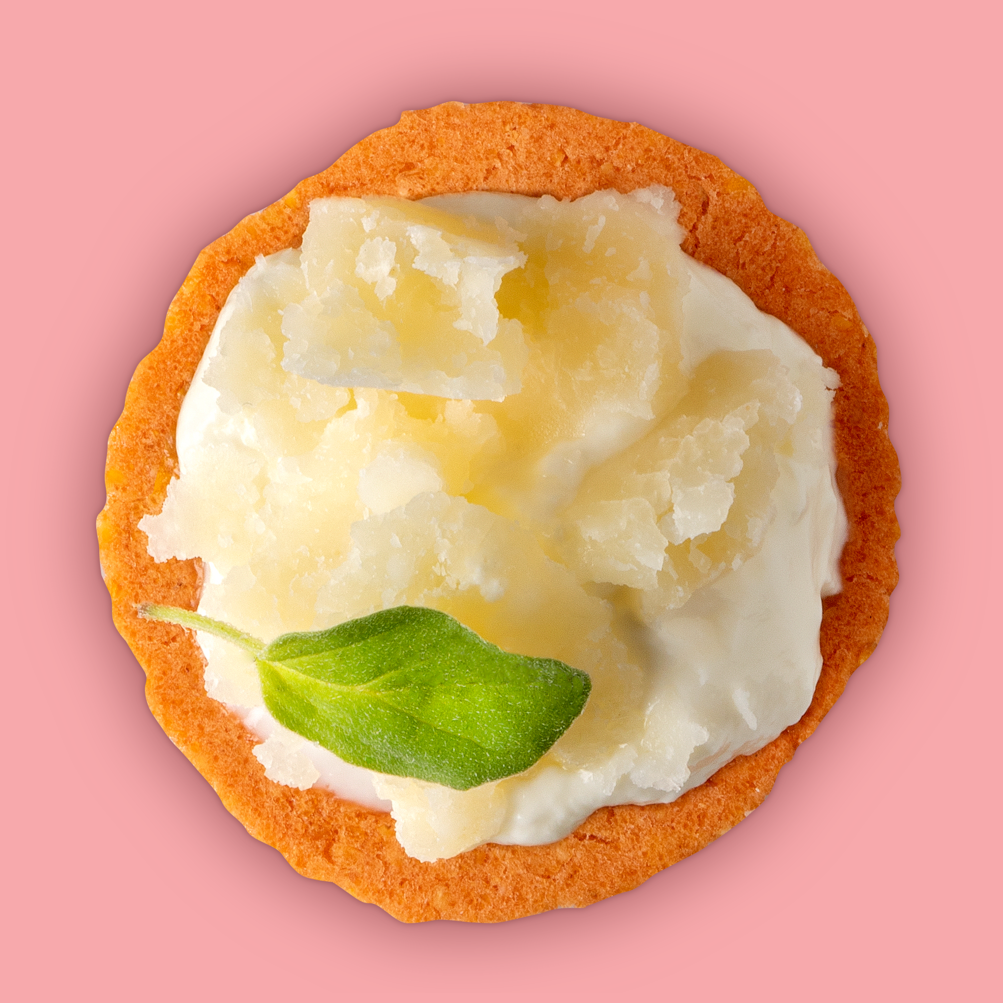 Craize Snacks, INC - Wholesale Crackers - Guava Toasted Corn Crackers 4oz4