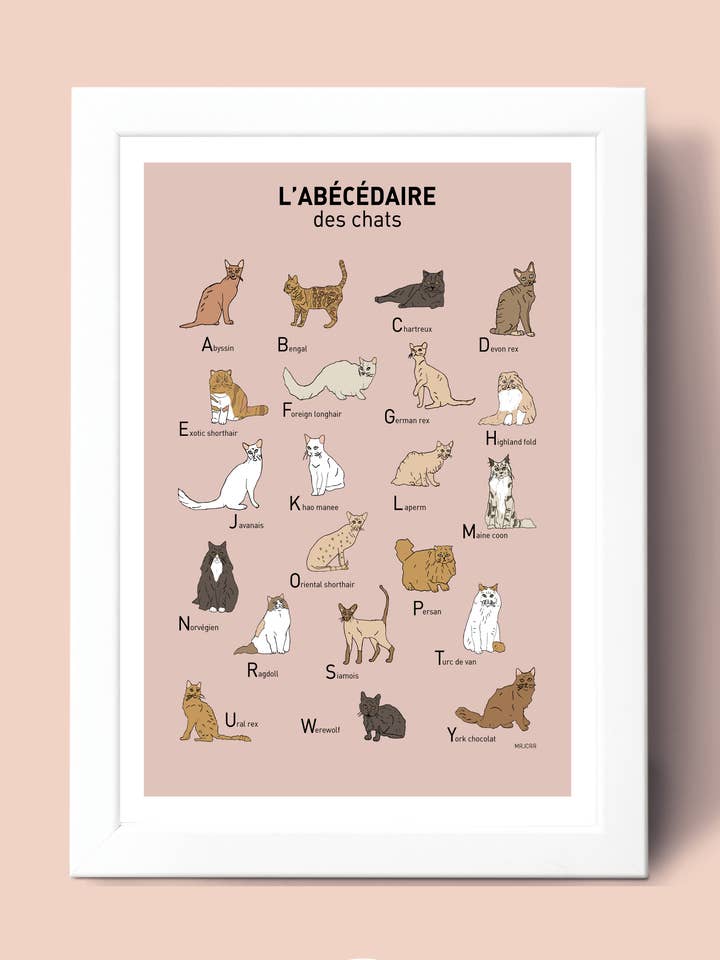 Abecedario de los gatos para venta al por mayor de Mrjcrrart