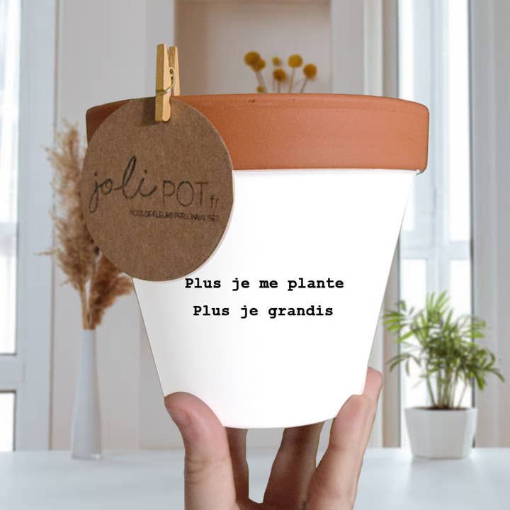 Joli Pot - Wholesale Plant Pot - Flower pot, cover pot “The more I plant, the more I grow”6
