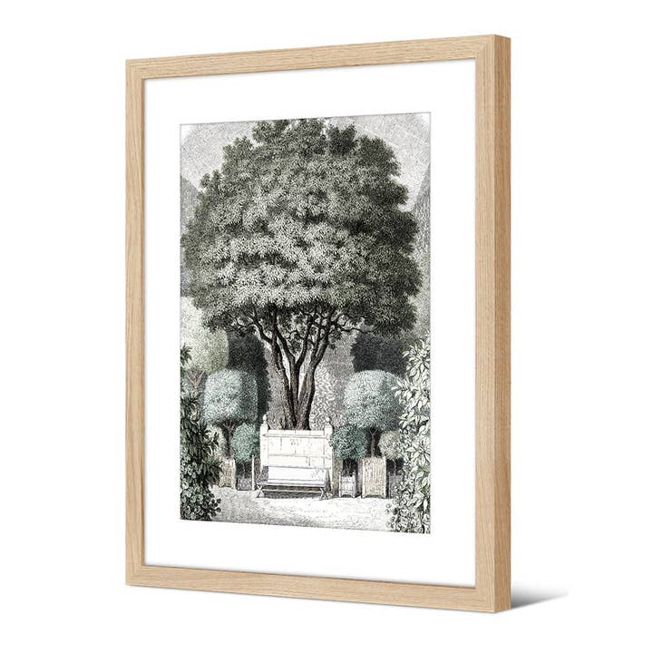 Indrammet billede Mikele for engroshandel hos Podevache