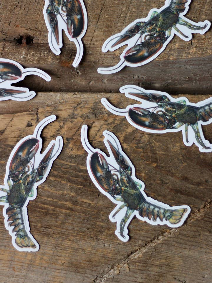 lobster - sticker for wholesale by stück in the studio