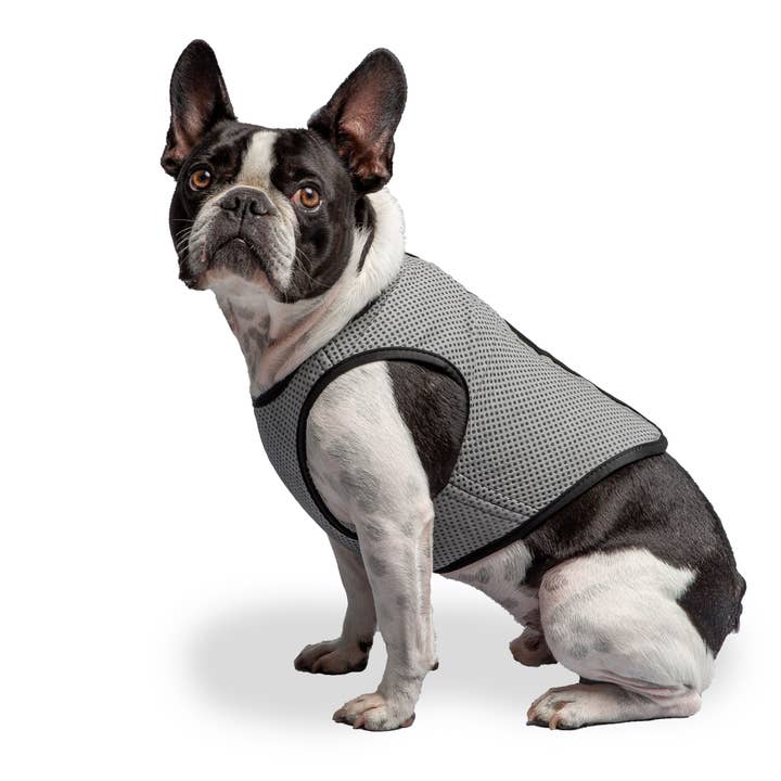 GF Pet – wholesale Pet vest – Dog – US Army Dog Cooling Vest - Grey1