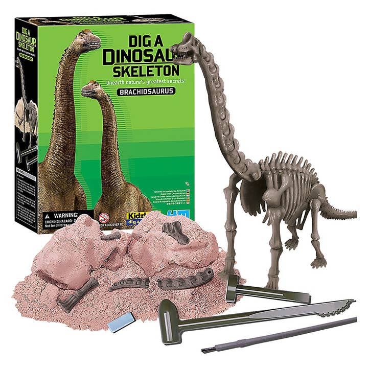 The Toy Network - Wholesale Toy Set - Kids - KidzLabs /Dig A Dinosaur Skeleton/Brachiosaurus