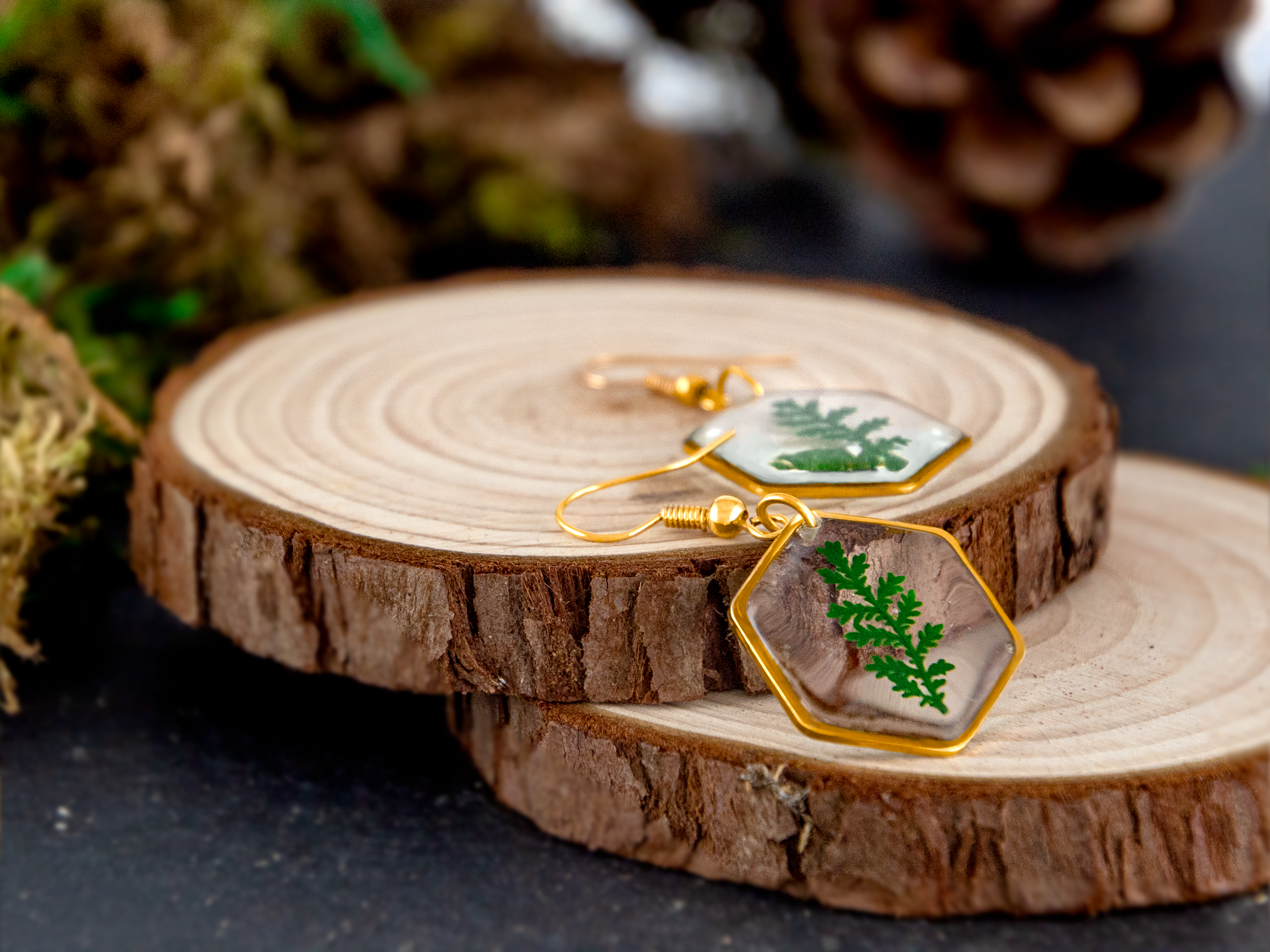 Allie and Posie – wholesale Dangle earrings – Mia hexagon dangle earrings with real dried fern in resin2