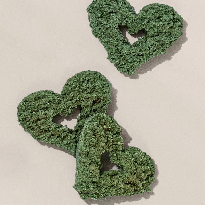 Gogoma - Wholesale Pet Treats - Dog - Spirulina + Coconut Whole Food Dog Treat for Immunity