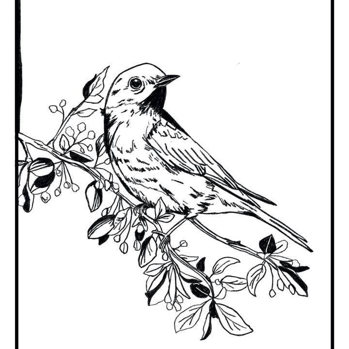 bclockerart - Wholesale Coloring & Activity Book - Kids & Baby - Forest Friends Coloring book5