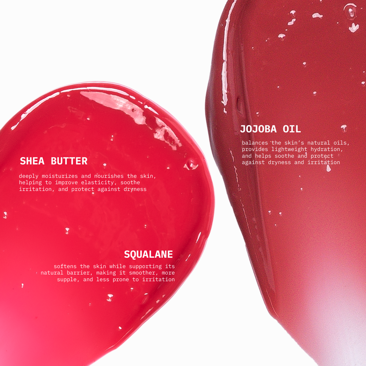 Kara Beauty - Wholesale Lip Balm - Flora Tint - Tinted Lip Balm Display Set1