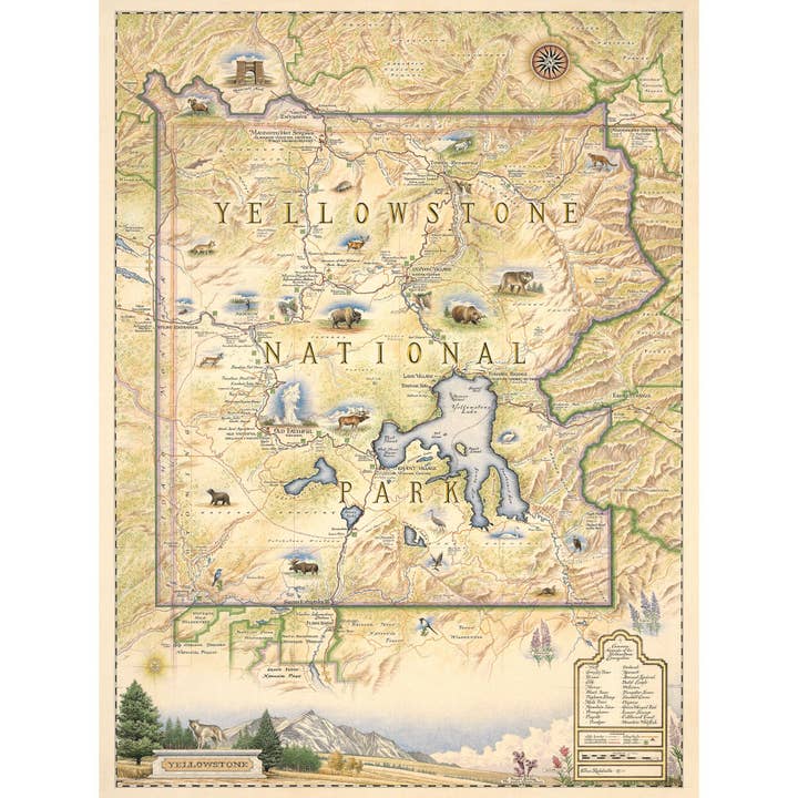 Yellowstone National Park Hand-Drawn Map for wholesale by XPLORER MAPS