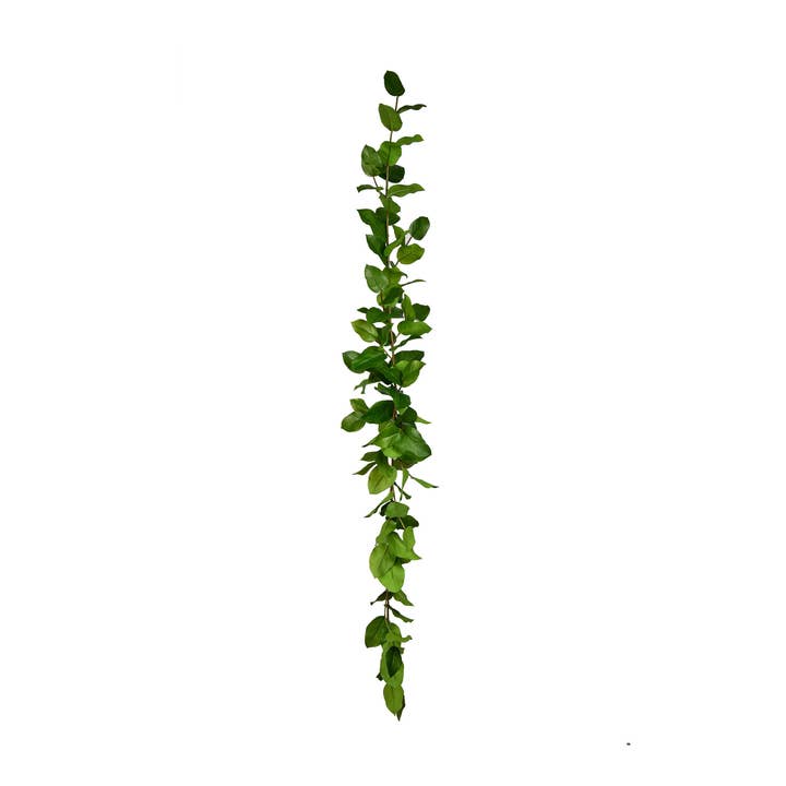Salal Leaf Garland - 6 Ft for wholesale by Mills Floral Company