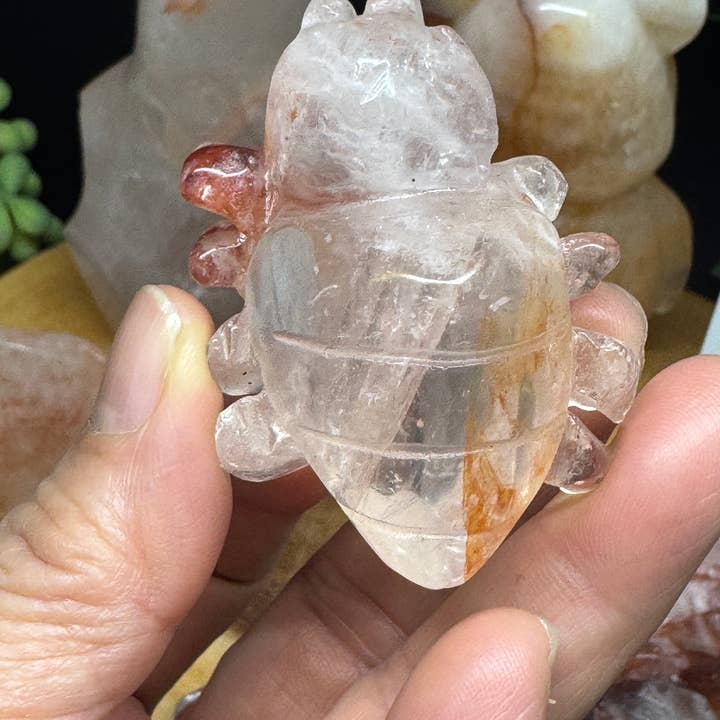 The 7 Directions - Wholesale Spiritual Stone/Crystal - 5 pc fire quartz flame bear butterfly spider F4205