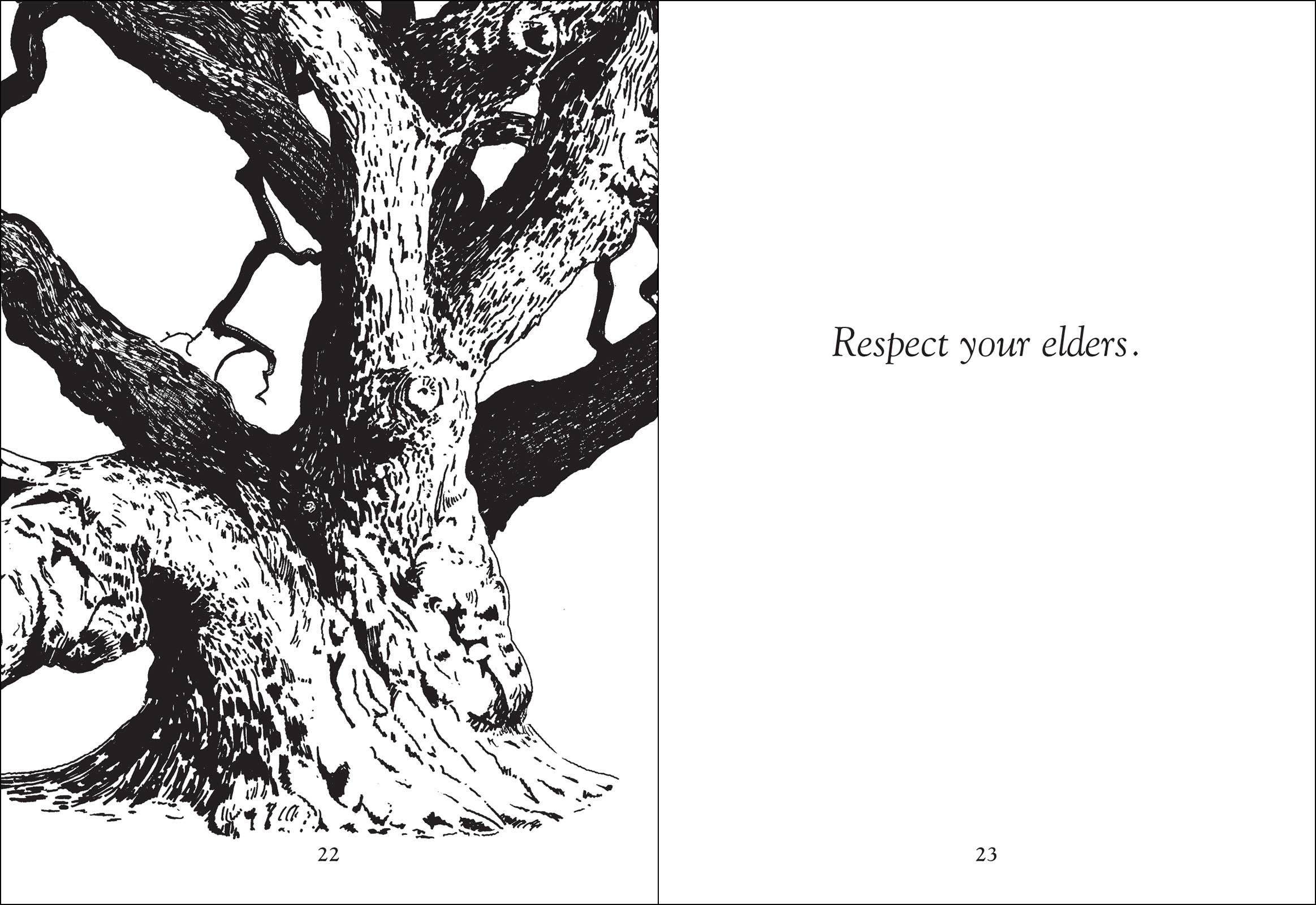 AdventureKEEN - Wholesale Nature & Outdoors - Things Trees Know3