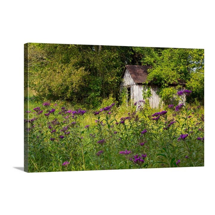 Garden Shed Canvas for wholesale by Nature's Vista Photography