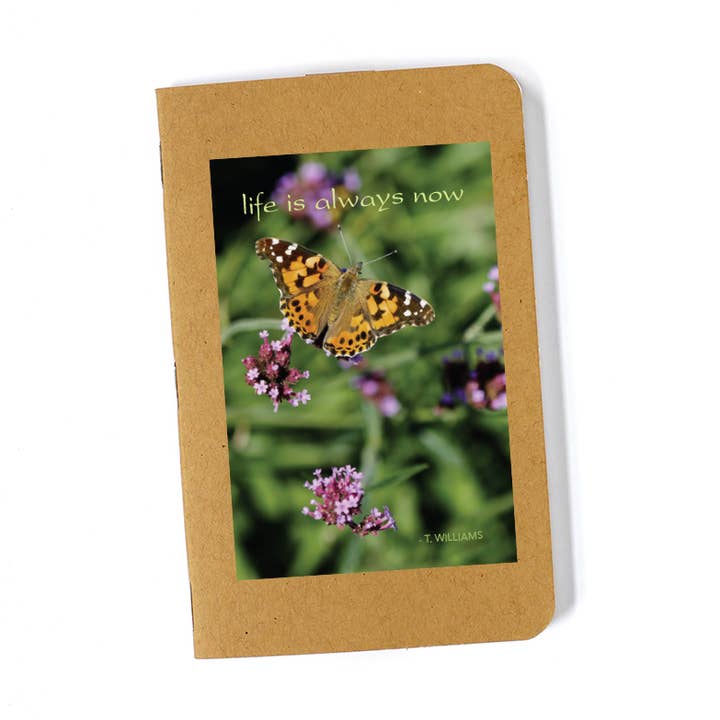 Butterfly Notebook for wholesale by Avant Garden Studio