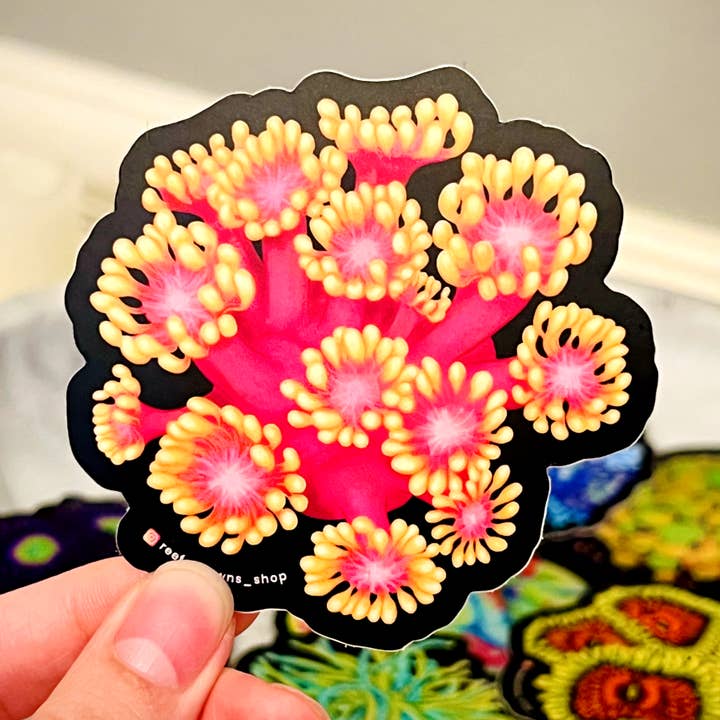 Goldener Inferno Goniopora Aufkleber | Korallenriff, Aquarium für den Großhandel von Reef of Clowns