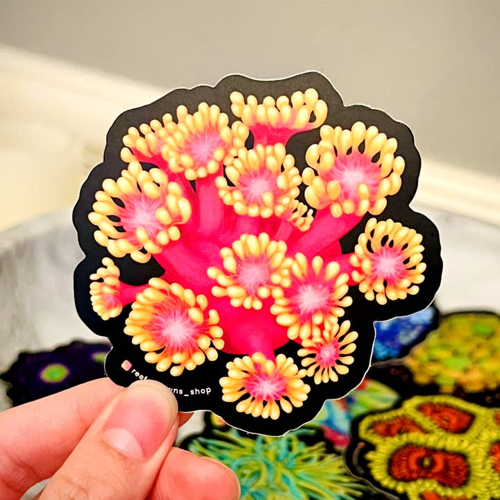 Golden Inferno Goniopora Sticker | Coral Reef, Fish Tank for wholesale by Reef of Clowns