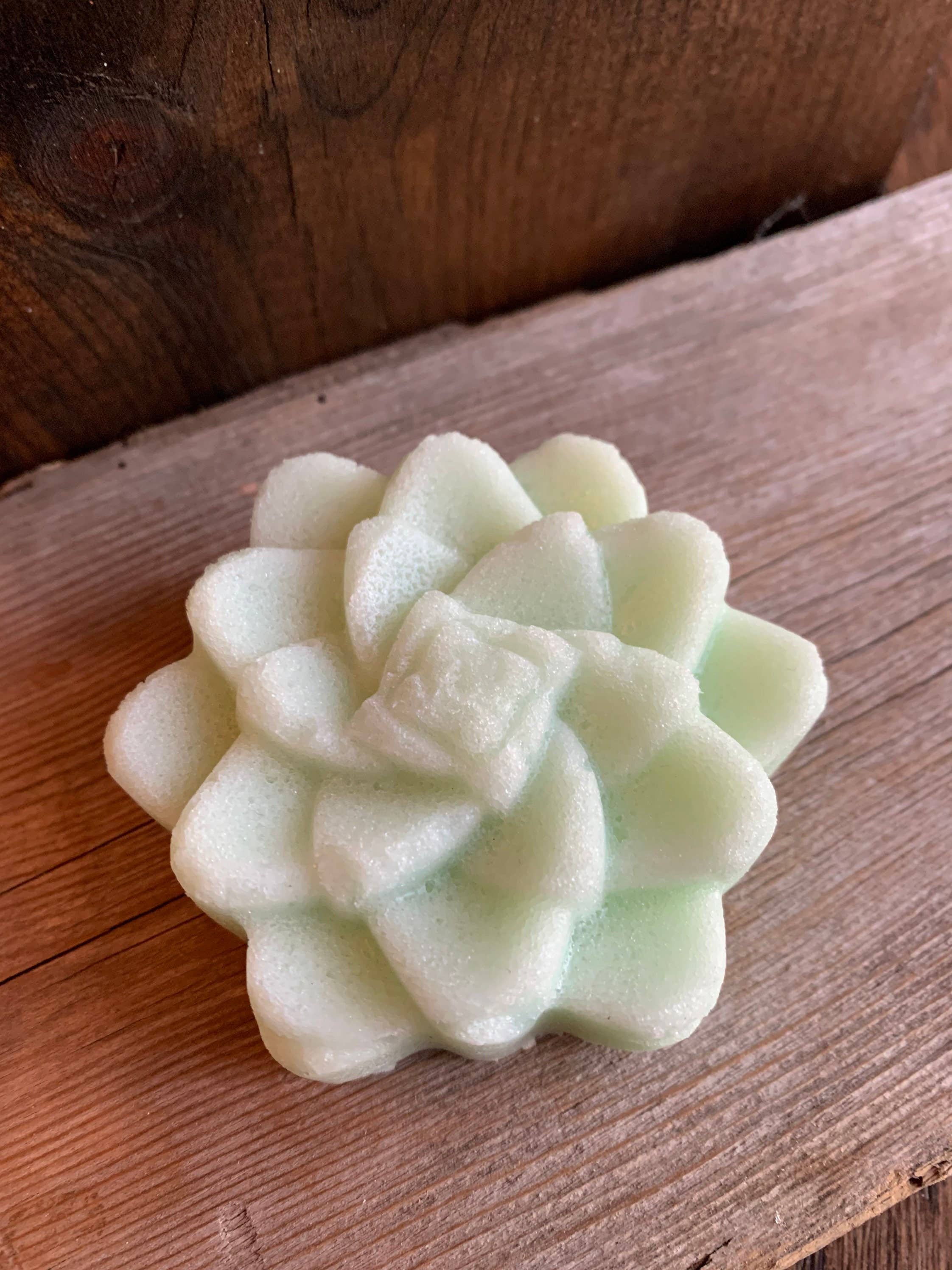 Urbanfarmergirls - Wholesale Body Scrub/Exfoliant - Succulent Sugar Scrub Bar4