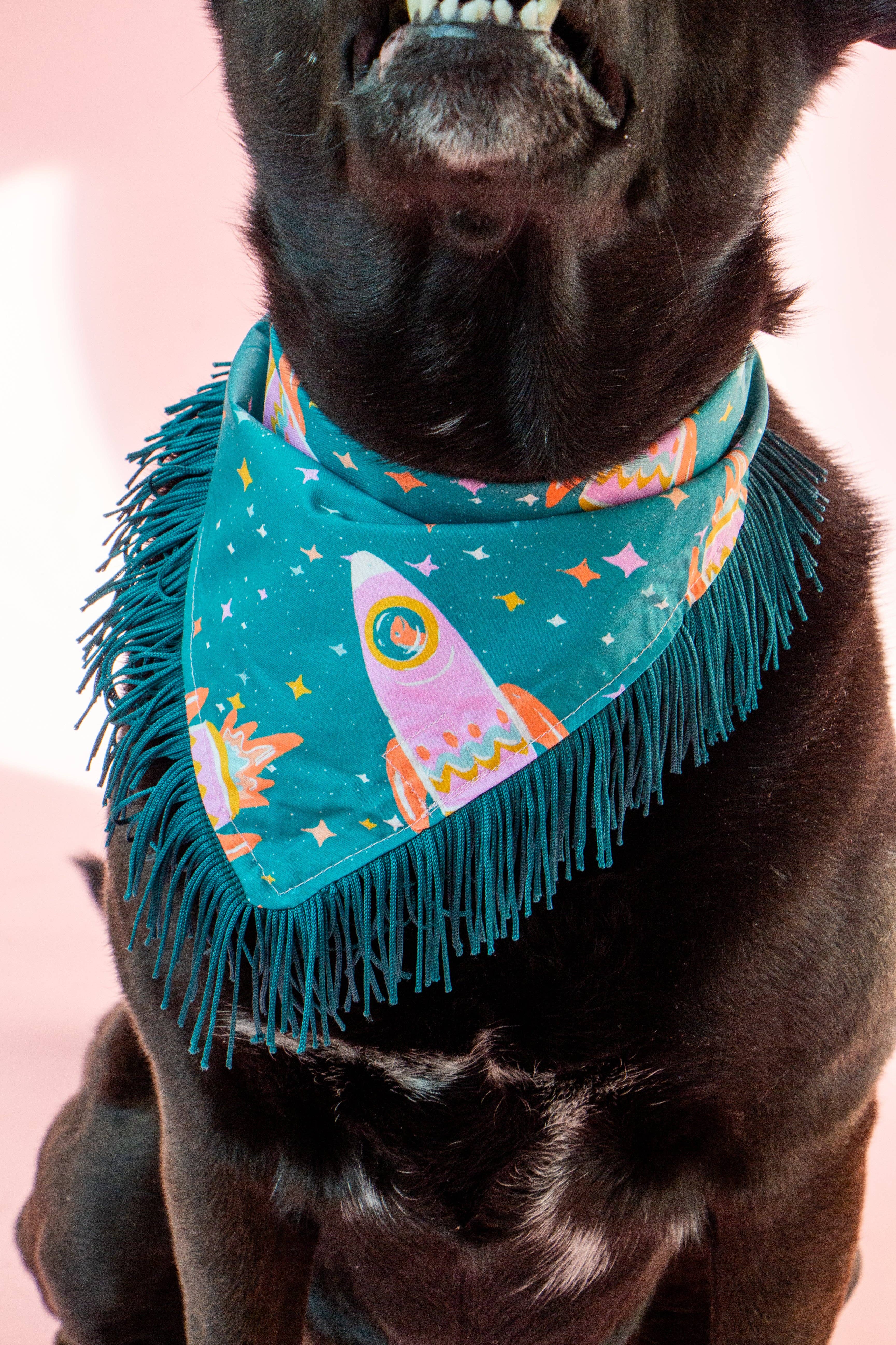Velvet Outlaw - Wholesale Pet Bandana - Dog - Space Cowboys with Teal Fringe Dog Bandana6