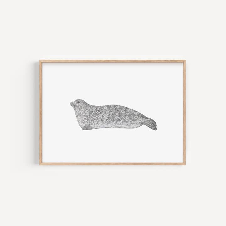 Impression de sceau annelé pour la vente par Lauren Fitton Illustration