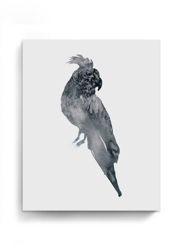 Dyreplakater Løs Akvarelpapir & Lærred | Papegøje 2 for engroshandel hos Marta Spendowska