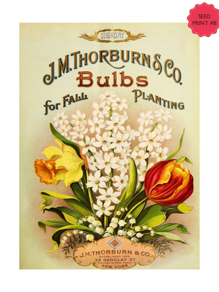 VINTAGE FRØPAKKE KUNSTTRYK #18 for engroshandel hos Crow's Tourmaline