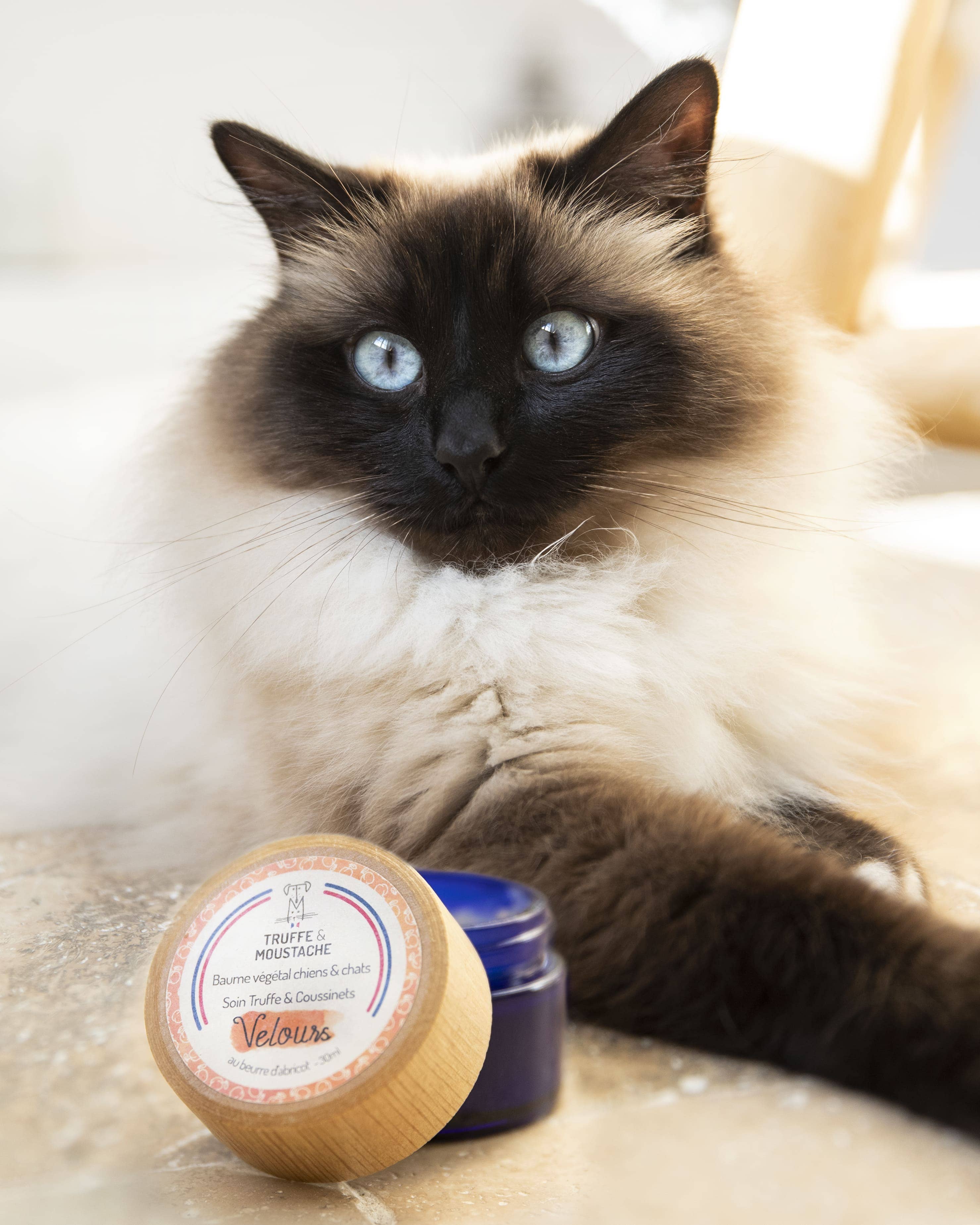 Truffe & Moustache - Wholesale Pet Balm - Dog - Truffle Balm & Pads for dogs & cats, “Velours”9