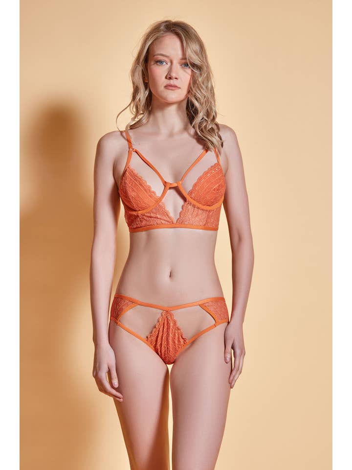 Orange Gisel High Waist Lace & Microfiber Panty for wholesale on Faire3
