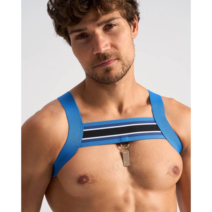 TEAMM8 - Wholesale Sex Toy - Locker Harness - Cobalt