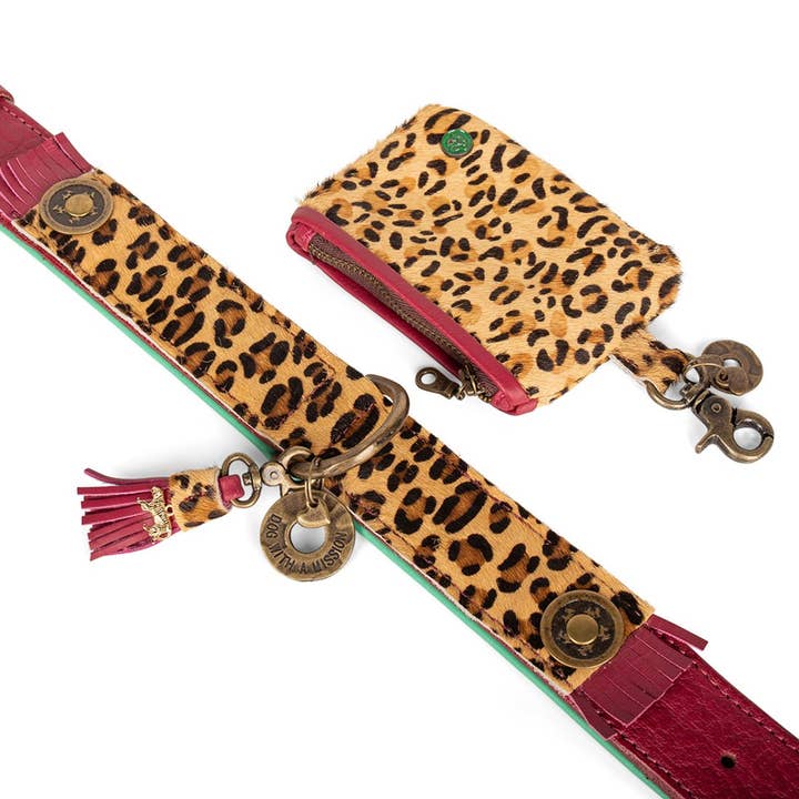 Dog with a Mission - Wholesale Pet Collar - Dog - Lou Lou collar3