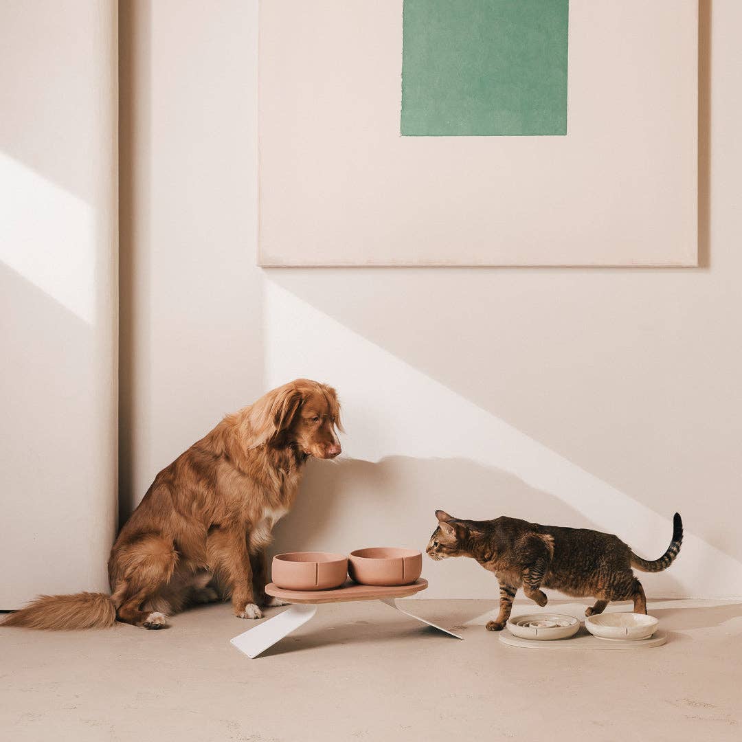 PINO - Wholesale Pet Bowl - Cat - Slow Feeder Bowl for Cats16